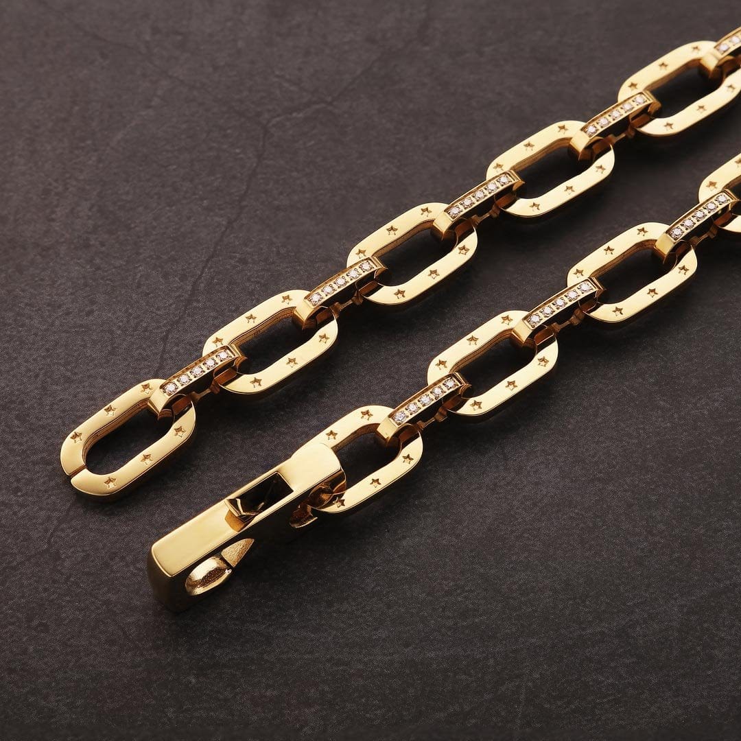 Dani thick chain link bracelet